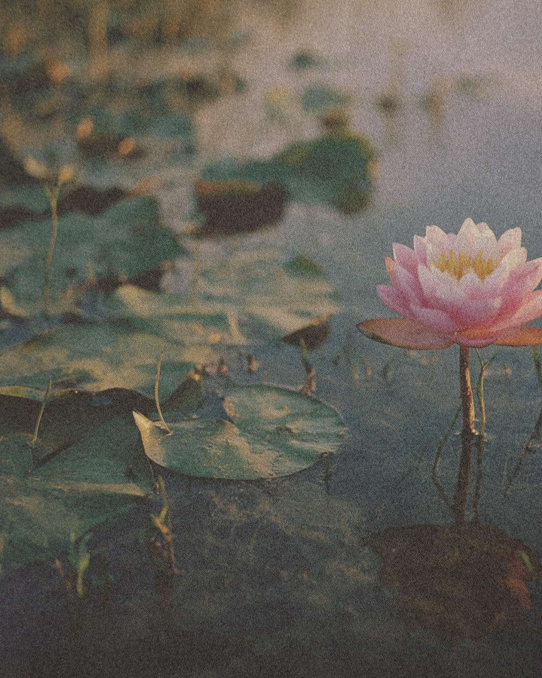 A Guide to the Yamas. Ancient Yoga Wisdom for Modern Life.